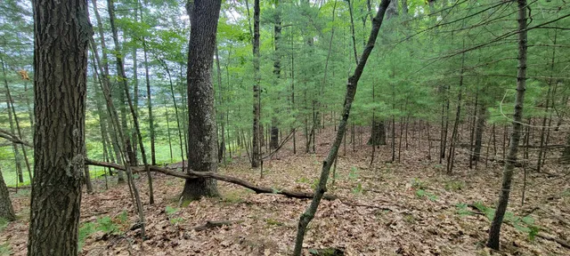 $34,900 | Vl Trail Of The Lakes, Baldwin, MI 49304