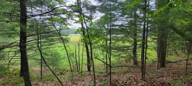 $34,900 | Vl Trail Of The Lakes, Baldwin, MI 49304