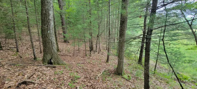 $34,900 | Vl Trail Of The Lakes, Baldwin, MI 49304