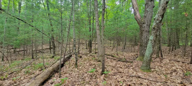 $34,900 | Vl Trail Of The Lakes, Baldwin, MI 49304