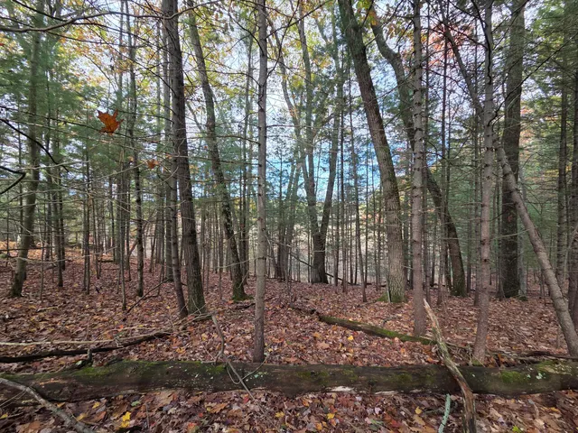 $34,900 | Vl Trail Of The Lakes, Baldwin, MI 49304