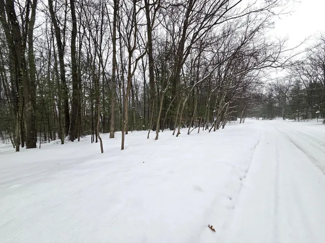 $34,900 | Vl Trail Of The Lakes, Baldwin, MI 49304