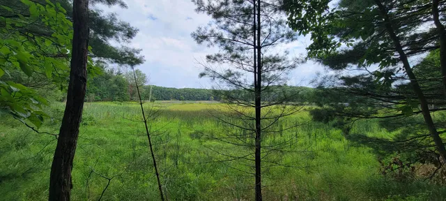 $34,900 | Vl Trail Of The Lakes, Baldwin, MI 49304