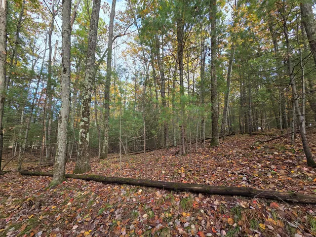 $34,900 | Vl Trail Of The Lakes, Baldwin, MI 49304