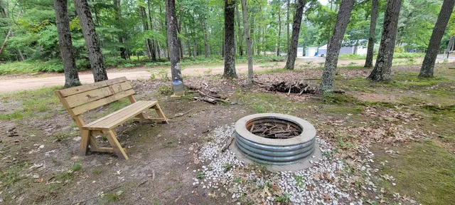 $34,900 | Vl Trail Of The Lakes, Baldwin, MI 49304