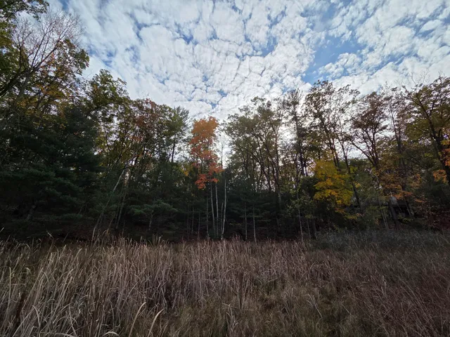 $34,900 | Vl Trail Of The Lakes, Baldwin, MI 49304