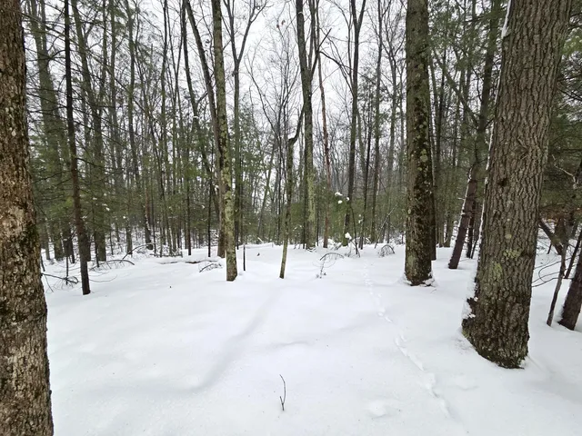 $34,900 | Vl Trail Of The Lakes, Baldwin, MI 49304