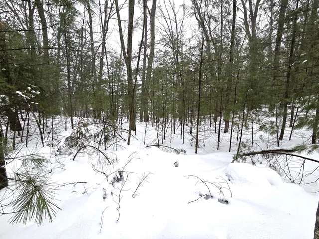 $34,900 | Vl Trail Of The Lakes, Baldwin, MI 49304