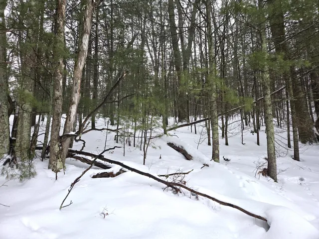 $34,900 | Vl Trail Of The Lakes, Baldwin, MI 49304