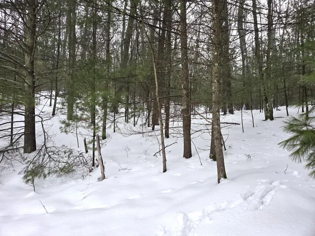 $34,900 | Vl Trail Of The Lakes, Baldwin, MI 49304