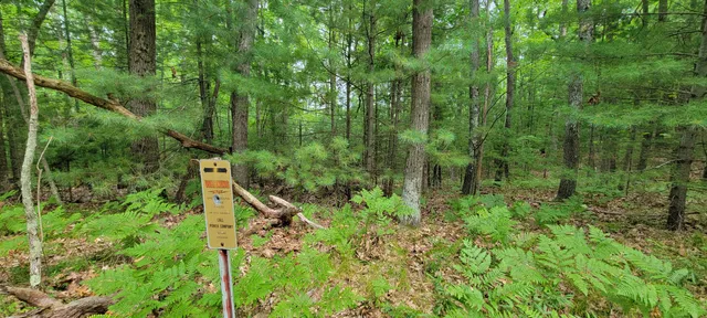 $34,900 | Vl Trail Of The Lakes, Baldwin, MI 49304