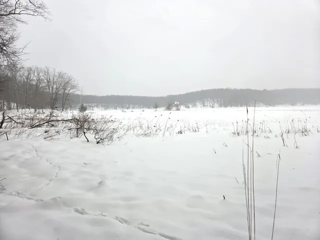 $34,900 | Vl Trail Of The Lakes, Baldwin, MI 49304