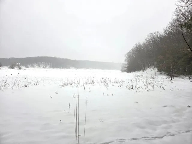 $34,900 | Vl Trail Of The Lakes, Baldwin, MI 49304