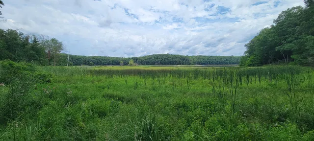 $34,900 | Vl Trail Of The Lakes, Baldwin, MI 49304