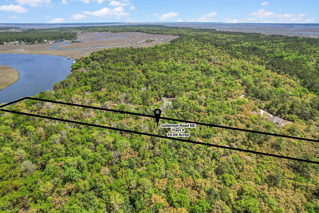 10.06-acres On Julienton Road Northeast Townsend, GA 31331 - Photo 11 of 12