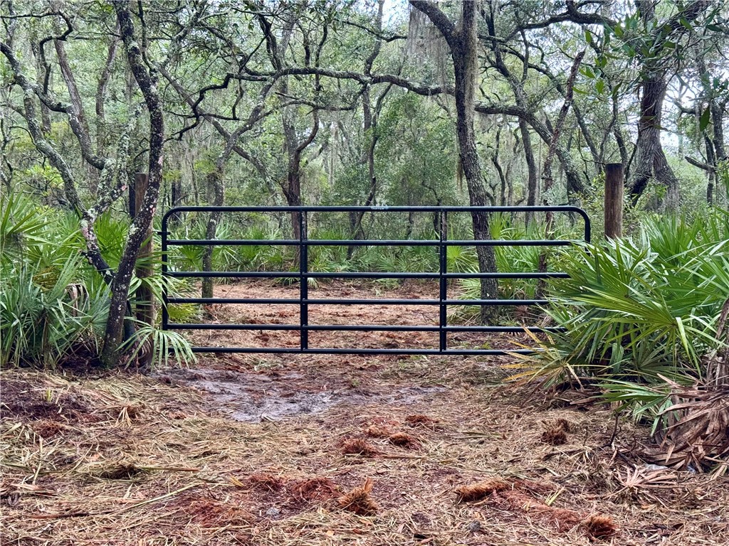 10.06-acres On Julienton Road Northeast Townsend, GA 31331 - Photo 3 of 12