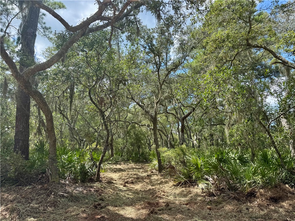 10.06-acres On Julienton Road Northeast Townsend, GA 31331 - Photo 4 of 12