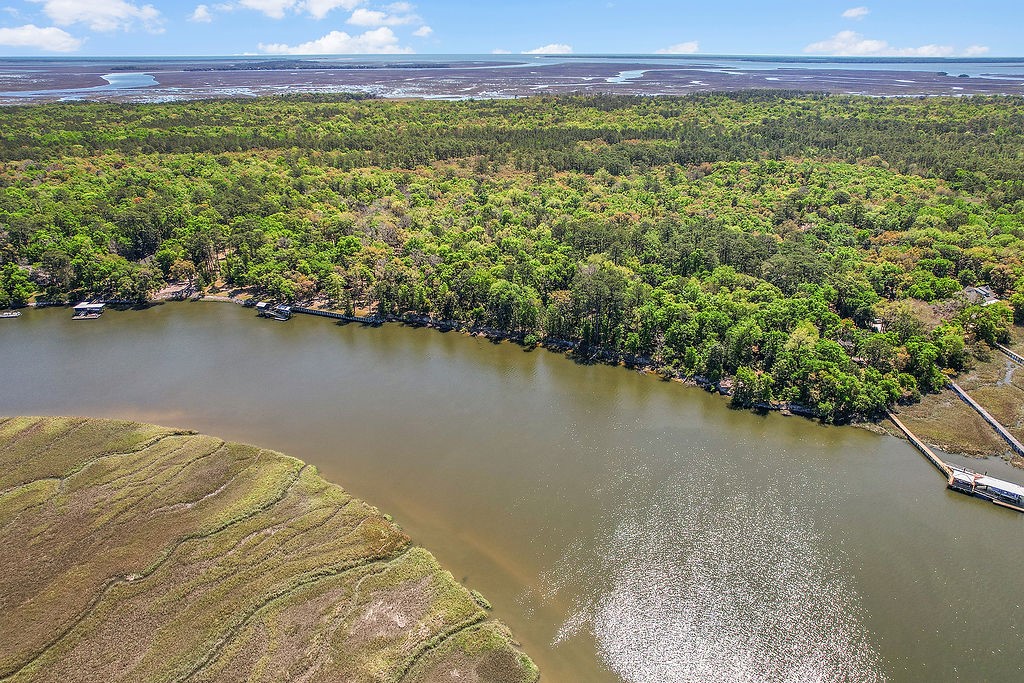 10.06-acres On Julienton Road Northeast Townsend, GA 31331 - Photo 8 of 12