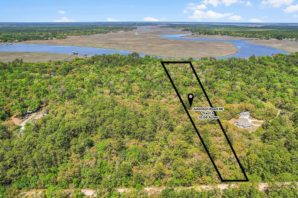 10.06-acres On Julienton Road Northeast Townsend, GA 31331 - Photo 9 of 12