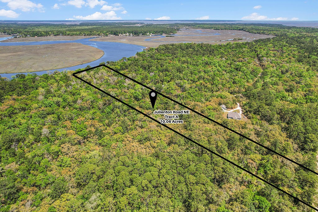 10.06-acres On Julienton Road Northeast Townsend, GA 31331 - Photo 10 of 12