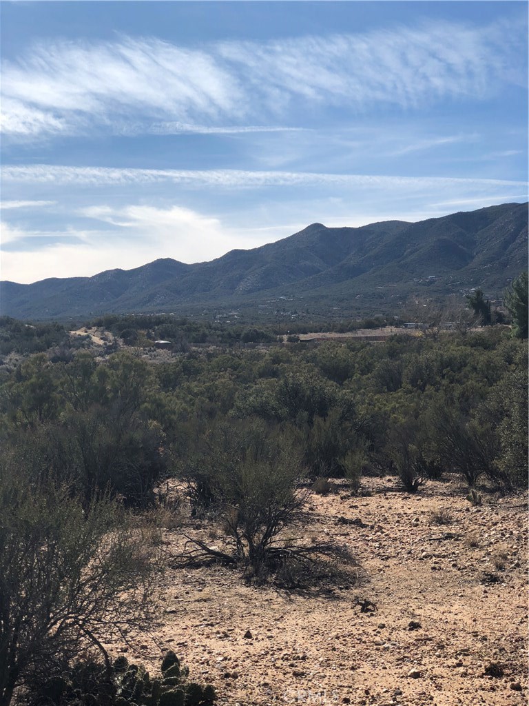 0 Ramsey Road Anza, CA 92539 - Photo 4 of 16 a view of a yard with a large tree