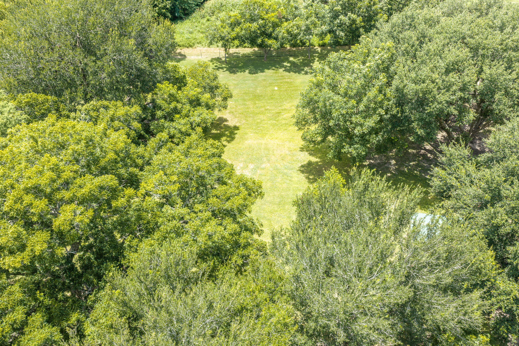 Tbd Goodwin Road Gonzales, TX 78629 - Photo 3 of 33 Green space nestled amongst mature trees, offering a private setting.