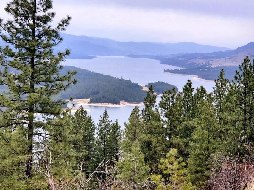 Tbd Bissell Road Hunters, WA 99137 - Photo 1 of 8