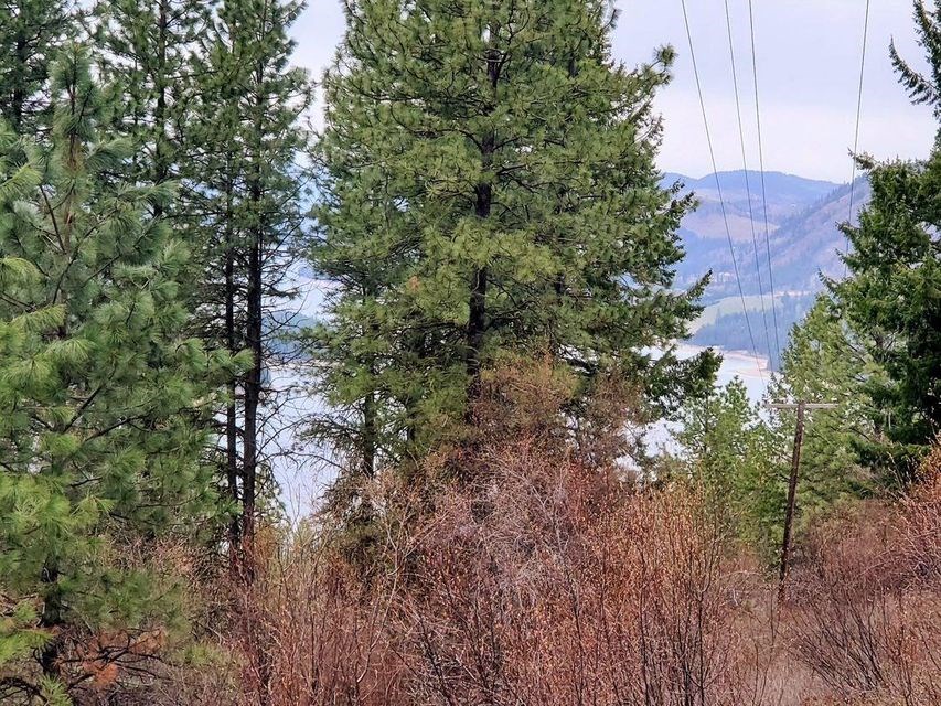 Tbd Bissell Road Hunters, WA 99137 - Photo 5 of 8