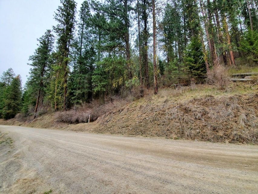 Tbd Bissell Road Hunters, WA 99137 - Photo 6 of 8