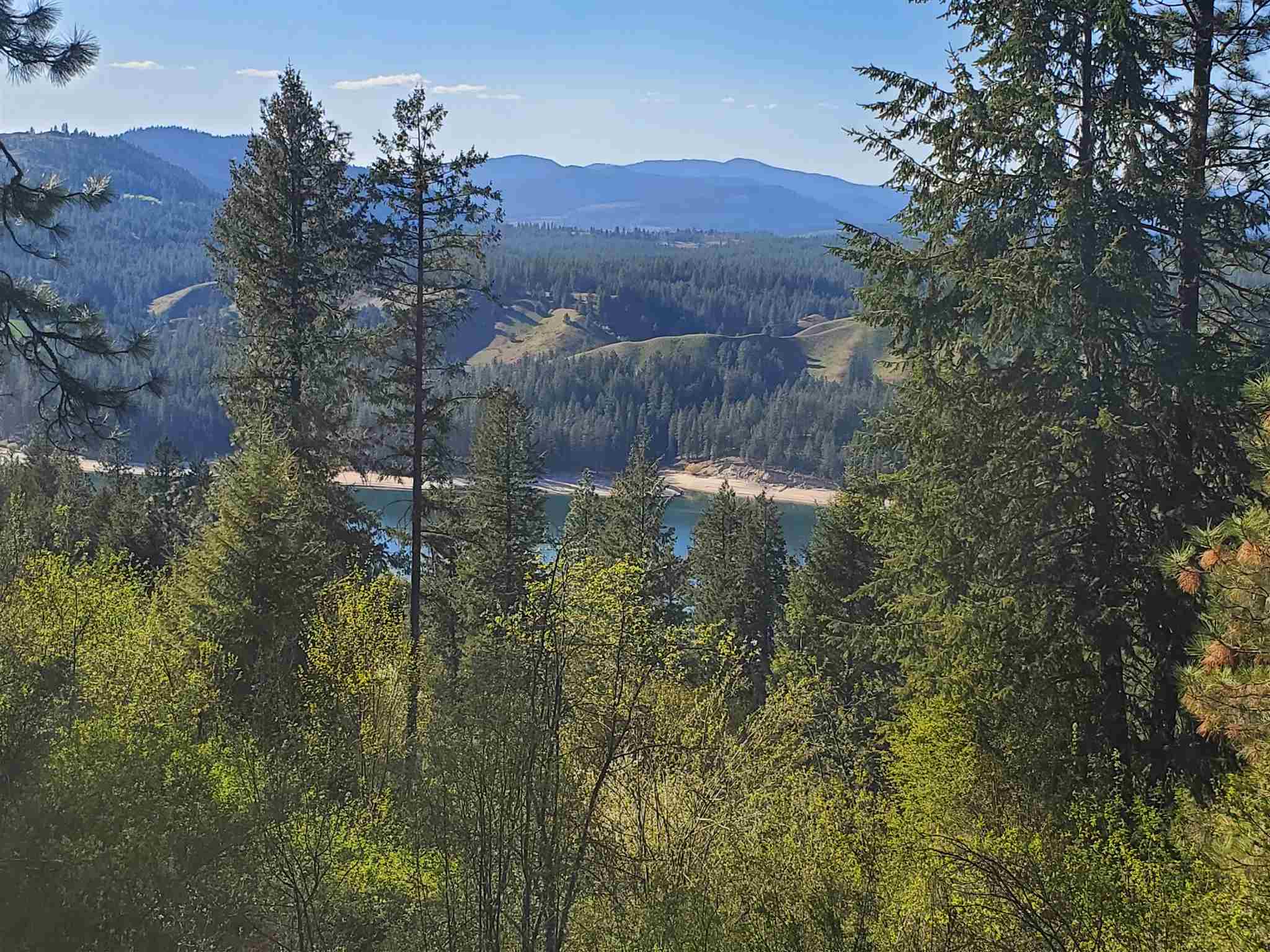 Tbd Bissell Road Hunters, WA 99137 - Photo 8 of 8