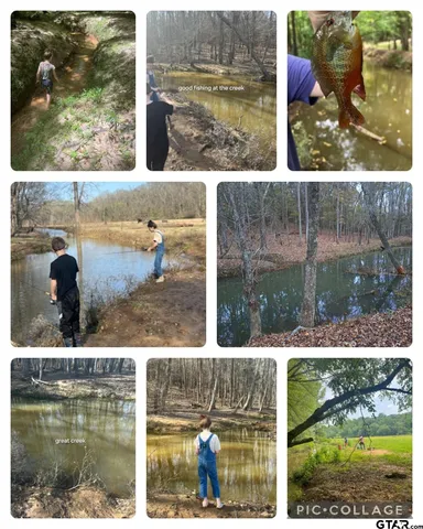 a view of a backyard and a swimming pool