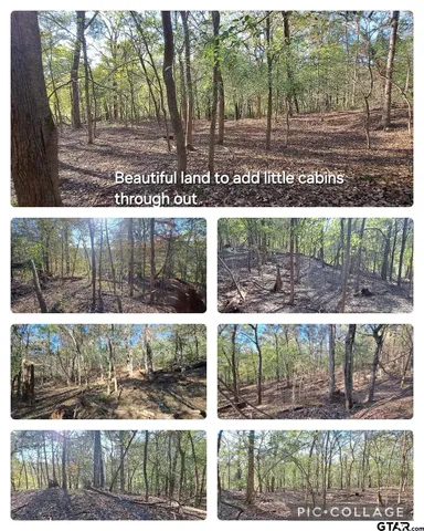 a picture of a living room with a couch