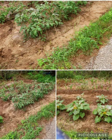 a view of lake from a balcony