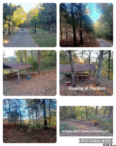 a view of a backyard with garden