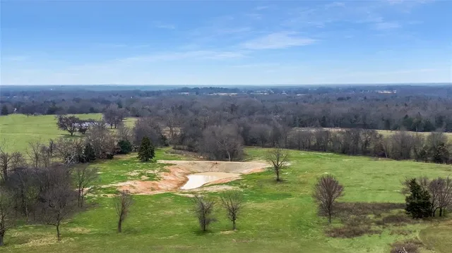 a view of a garden with a lake