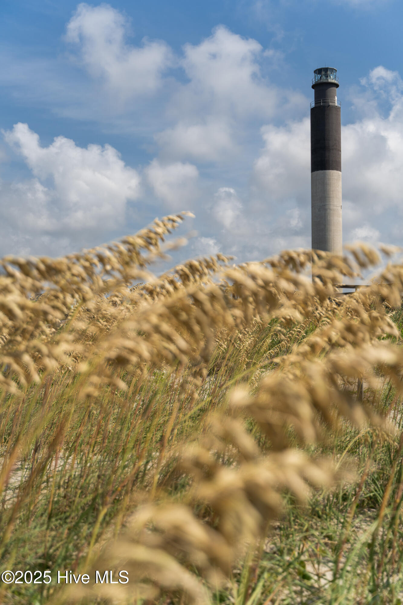 1070 Midway Road Southeast Bolivia, NC 28422 - Photo 75 of 103 OakIsland-12