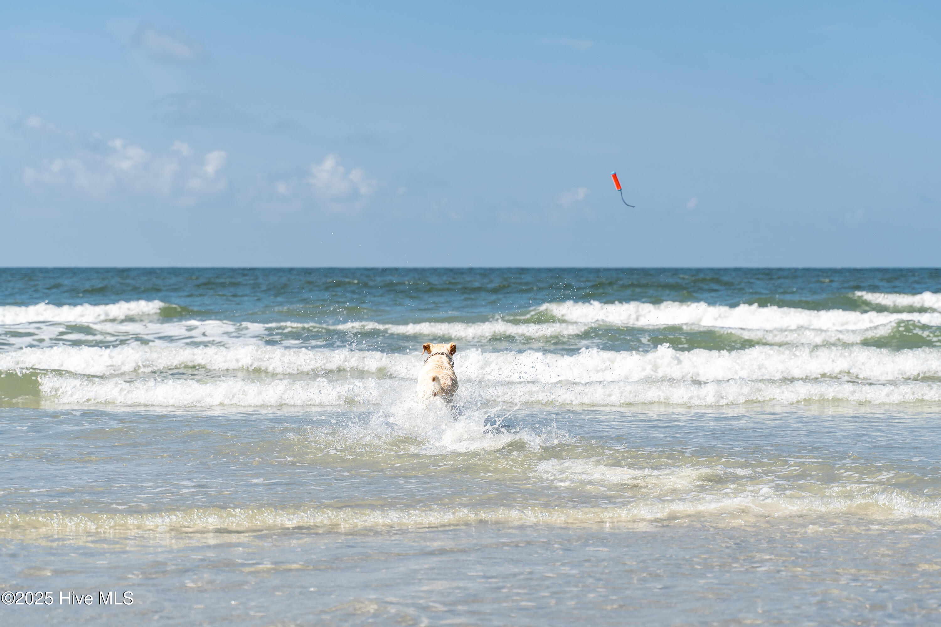 1070 Midway Road Southeast Bolivia, NC 28422 - Photo 83 of 103 OakIsland-18