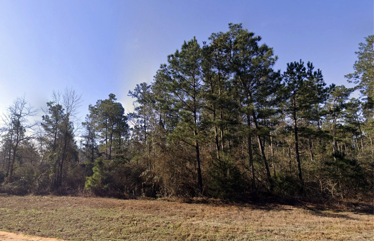 11622 Grand N Road Willis, TX 77378 - Photo 3 of 18