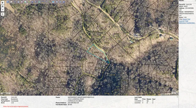 a black and white photo of a tree