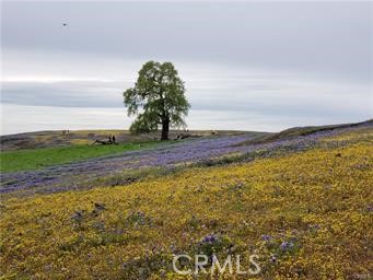 2920 Clark Road, Unit K17 Oroville, CA 95965 - Photo 11 of 31 Located only 15 minutes from Table Mountain State Park with gorgious views, water falls and wild flowers. Excellent hiking and horse trails.