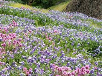 2920 Clark Road, Unit K17 Oroville, CA 95965 - Photo 14 of 31 Located only 15 minutes from Table Mountain State Park with gorgious views, water falls and wild flowers. Excellent hiking and horse trails.