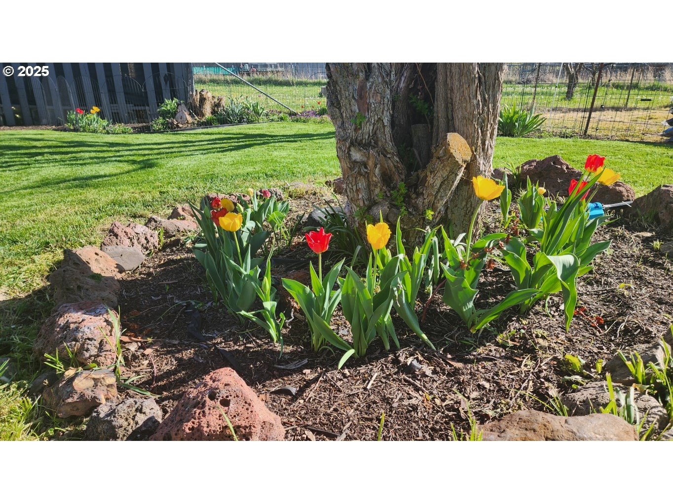 404 Southwest Depot Street Enterprise, OR 97828 - Photo 22 of 32