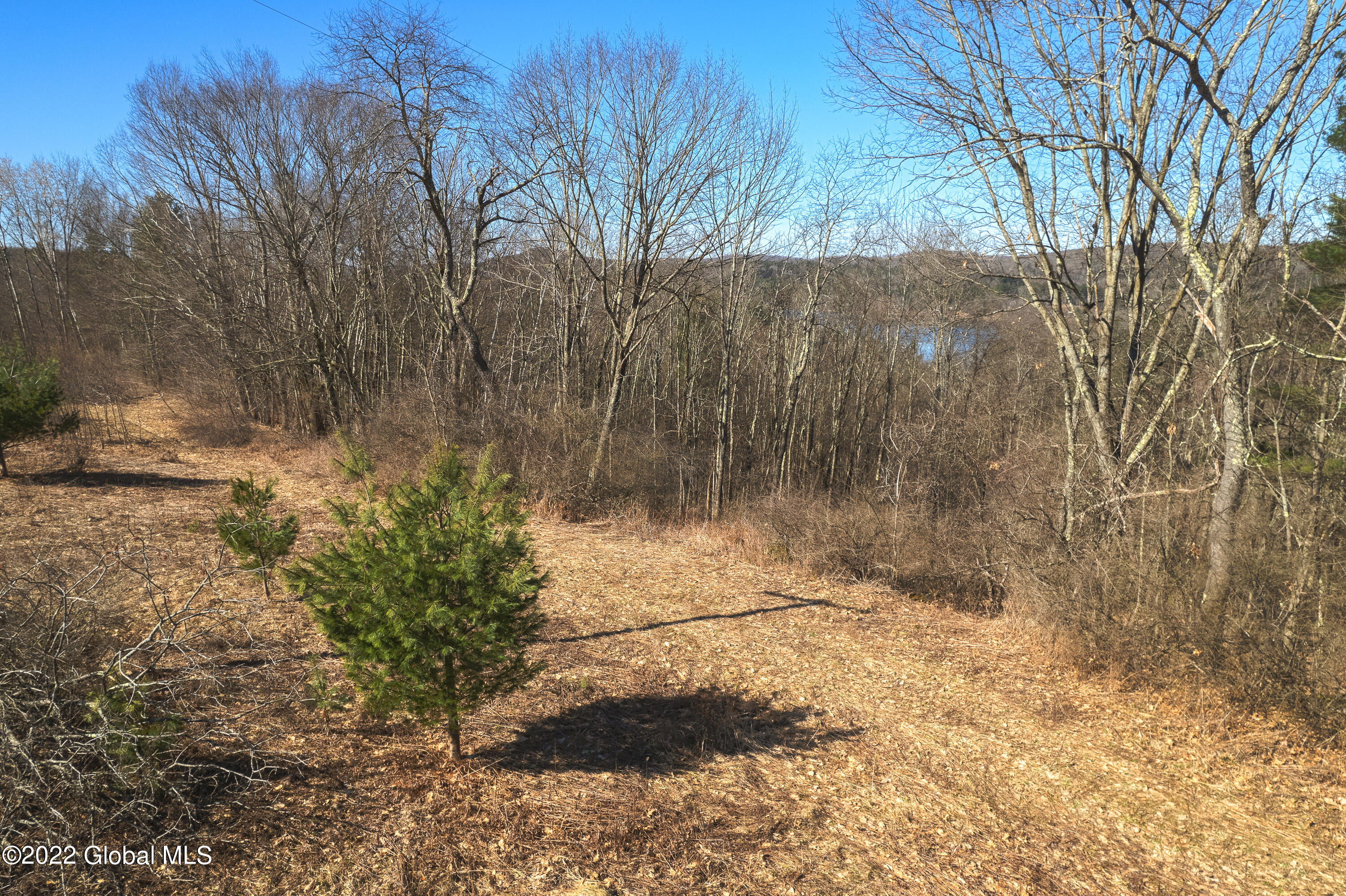45 Gordon Road Argyle, NY 12809 - Photo 18 of 23 18