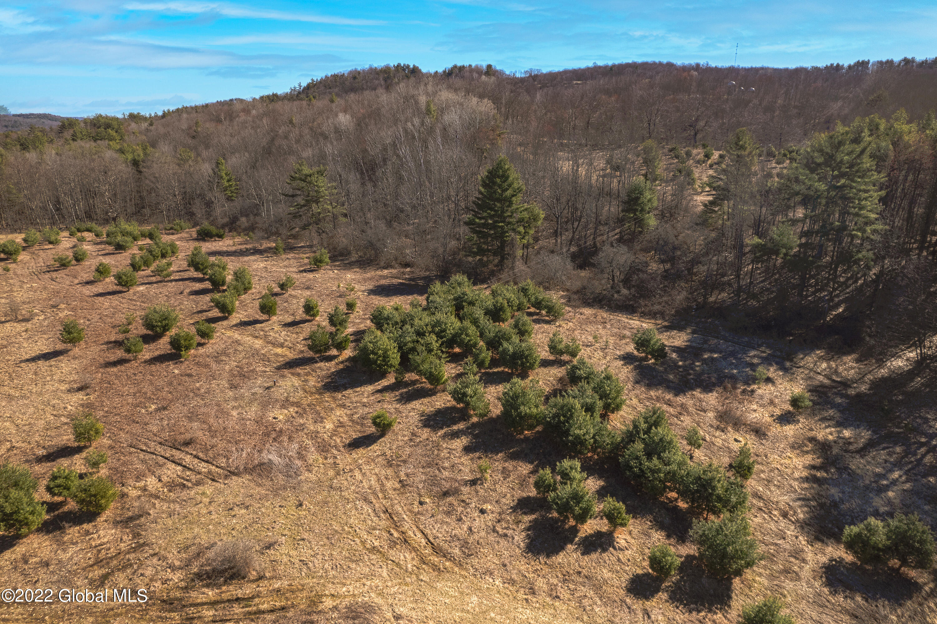 45 Gordon Road Argyle, NY 12809 - Photo 3 of 23 3
