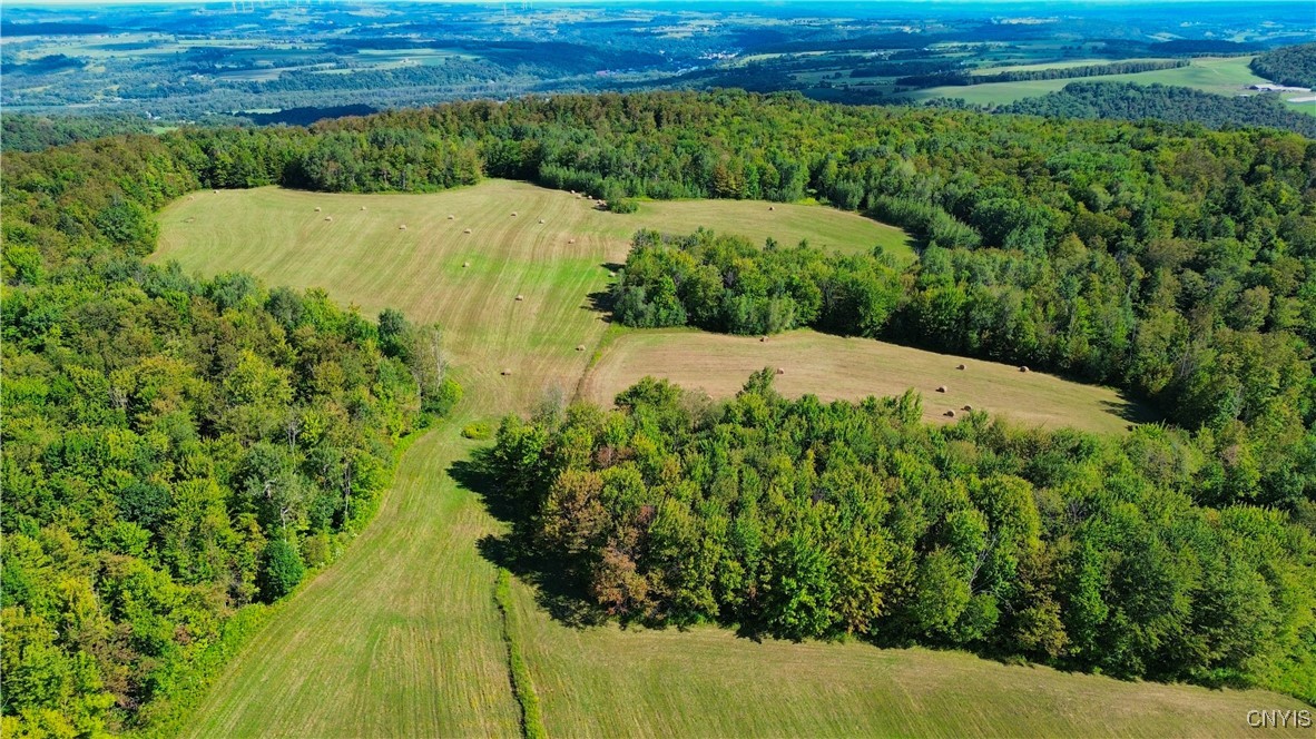 Lot 3-1 Oregon Road Mohawk, NY 13407 - Photo 1 of 10 Gallery Image 1