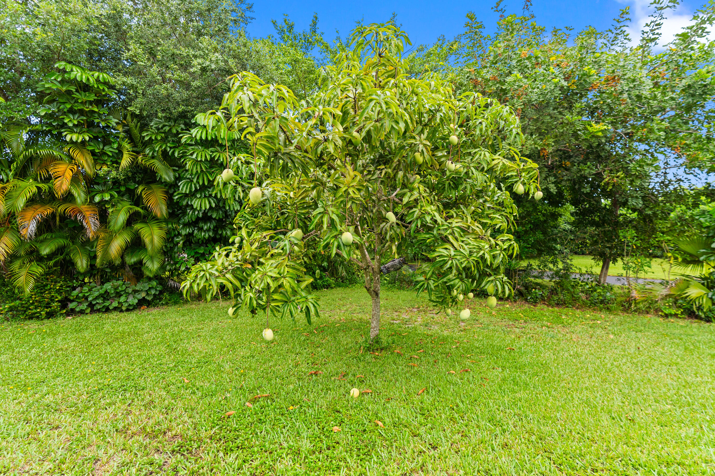 22829 Horseshoe Way Boca Raton, FL 33428 - Photo 63 of 67 DSC06825