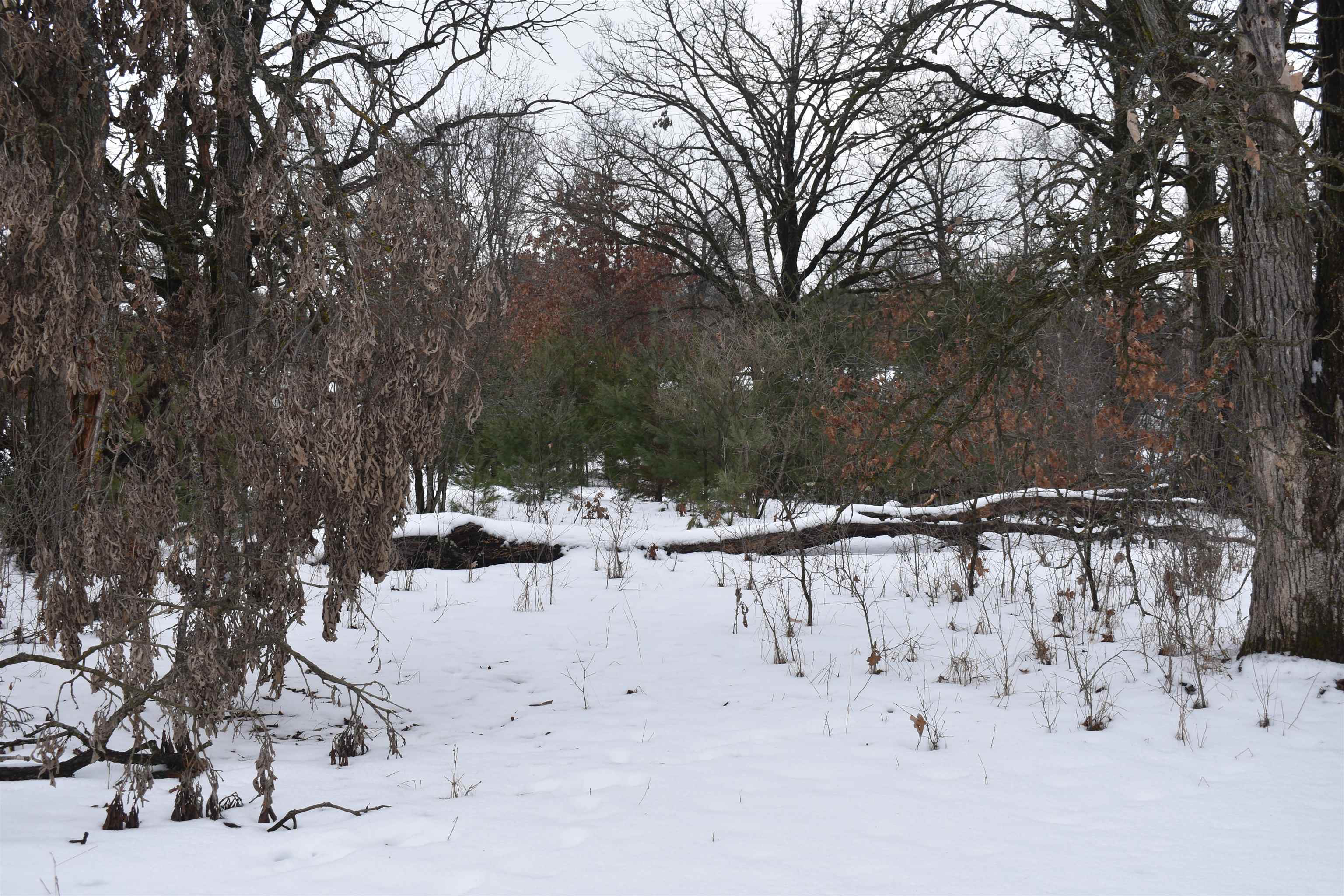 9464 North Hollywood Road Nekoosa, WI 54457 - Photo 2 of 3