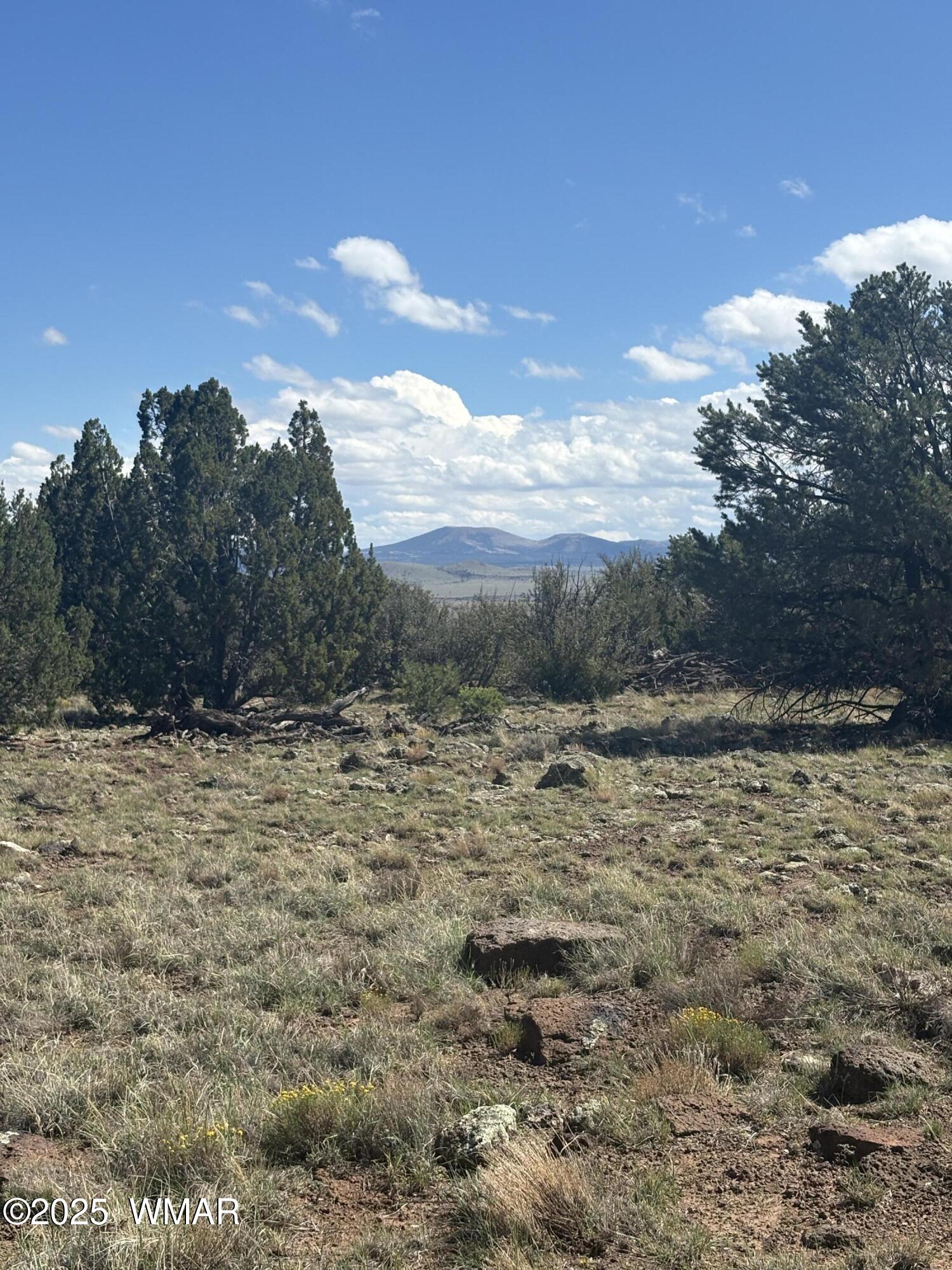29 A County Road Concho, AZ 85924 - Photo 2 of 9 IMG_4777