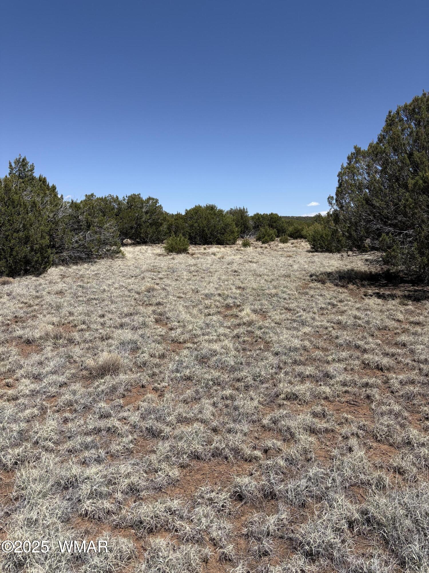 29 A County Road Concho, AZ 85924 - Photo 4 of 9 Land