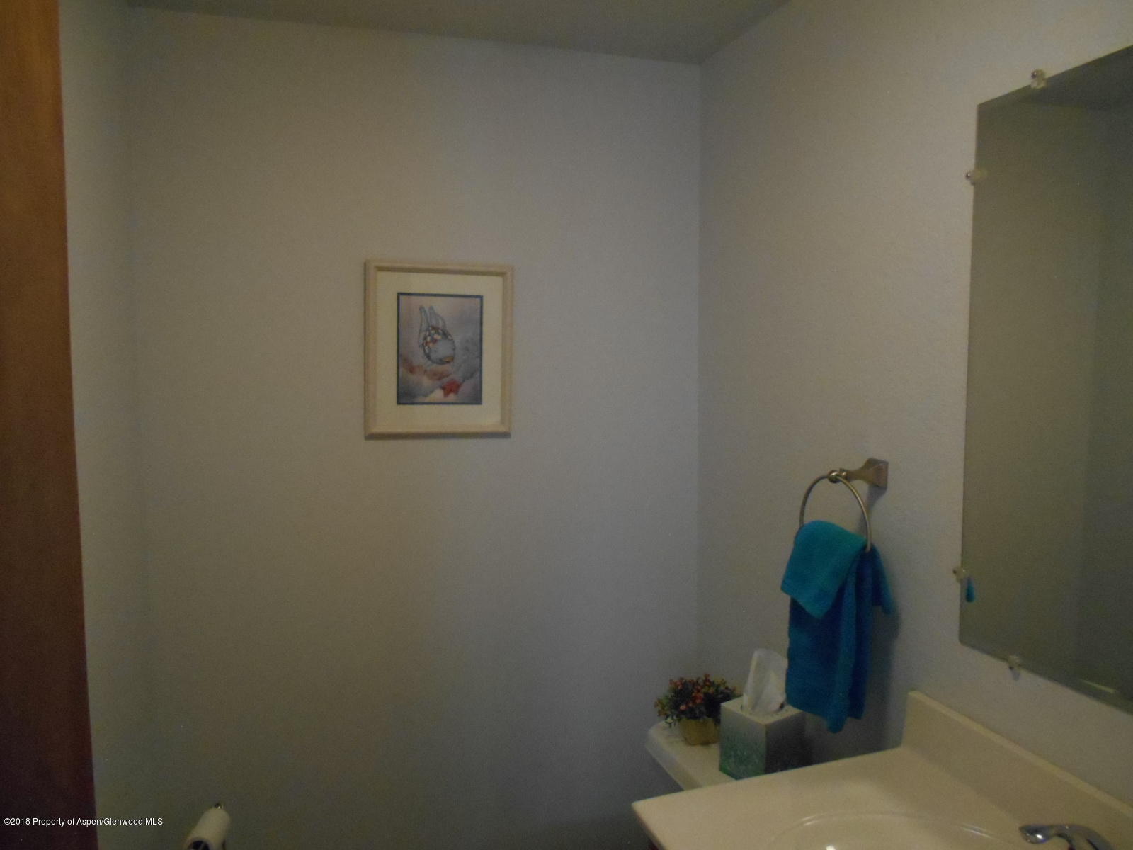767 Cedar Court Rifle, CO 81650 - Photo 10 of 20 Bathroom